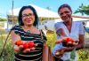 Projeto Horta Orgânica da Apabb SE comemora Dia Mundial da Alimentação